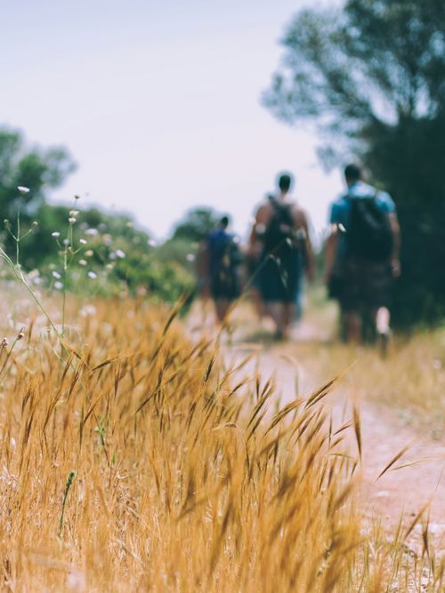 Rancho San Antonia Preserve