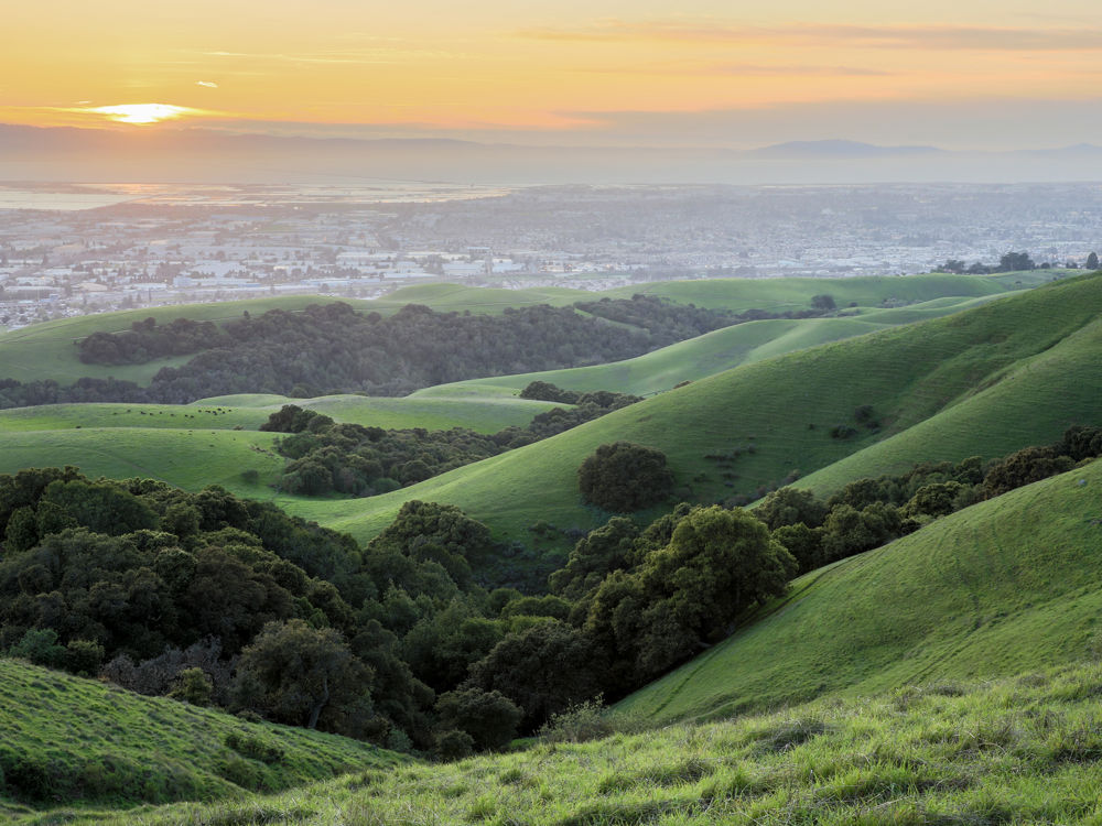 Silicon Valley